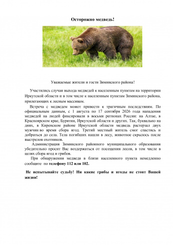 Осторожно, медведь!