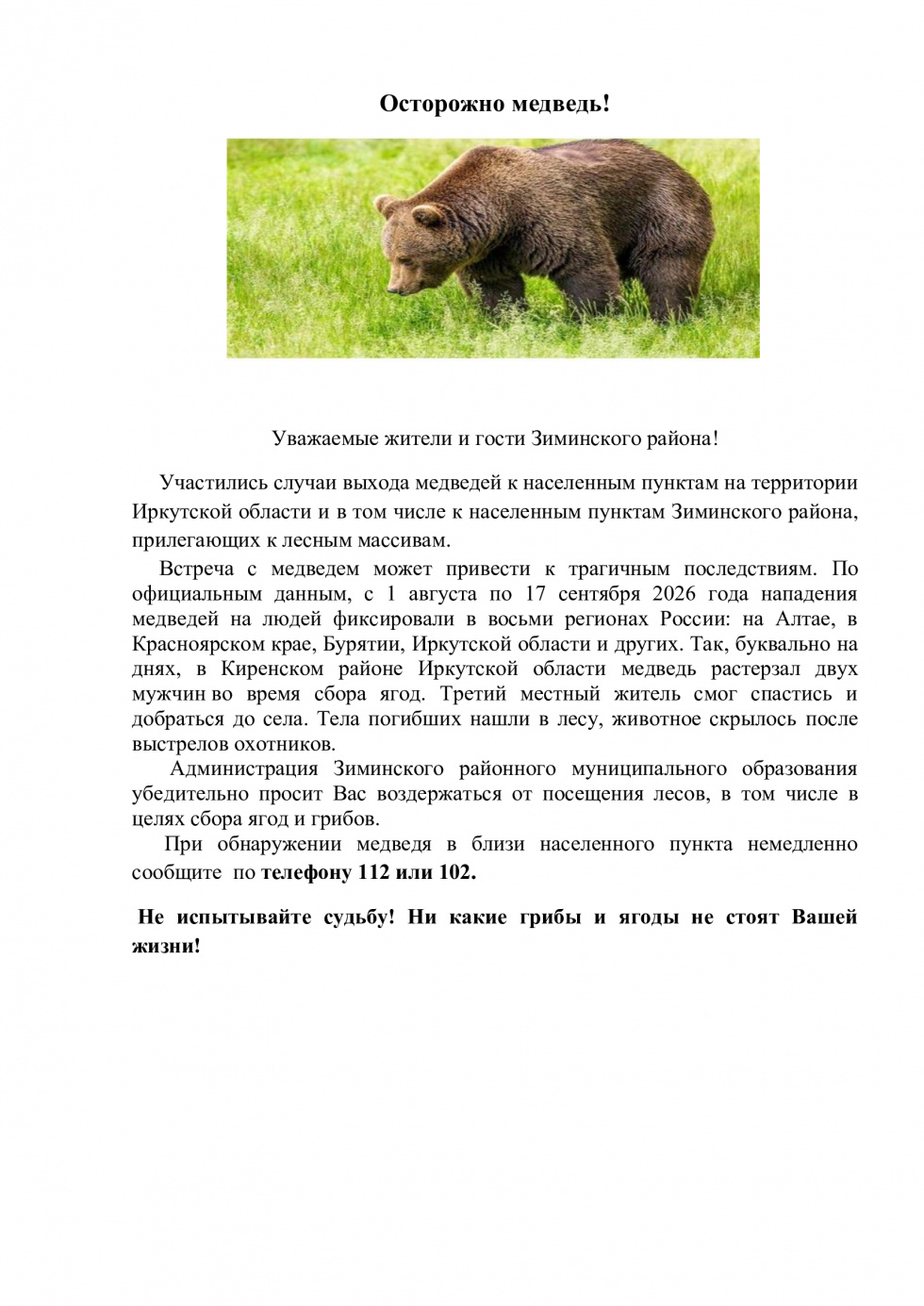 Осторожно, медведь!