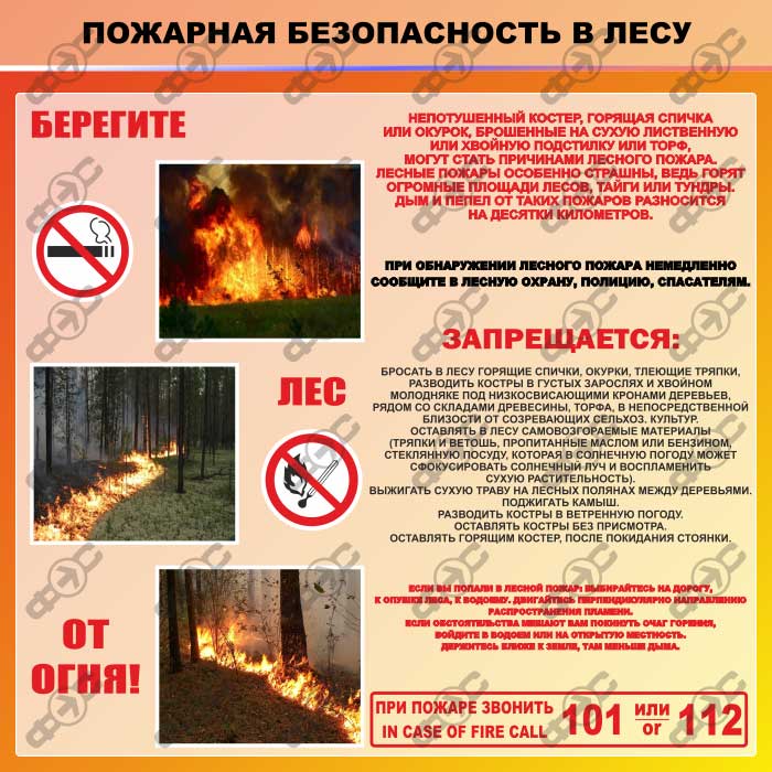 Пожарная безопастность в лесу