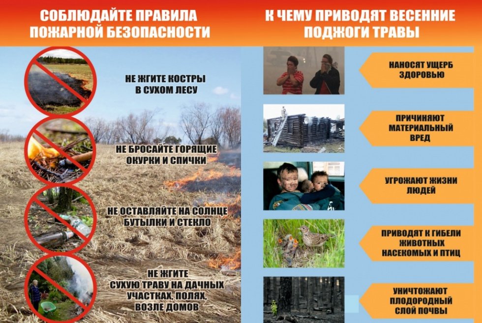 Соблюдайте правила пожарной безопасности. К чему приводят весенние поджоги травы